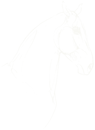 Small horse illustration by equine artist Danielle Demers
