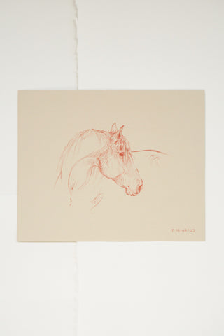 Lines – No. 24