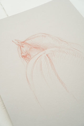 Lines – No. 25