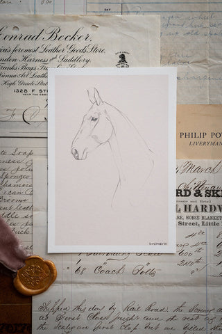 Photograph of a delicate line drawing of a horse styled over antique billheads. Drawn by equine artist Danielle Demers.