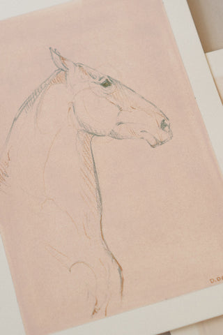 Photo of an original mixed media line drawing of a horse by equine artist Danielle Demers