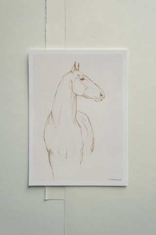 Photo of a print of a mixed media line drawing of a horse by equine artist Danielle Demers