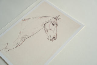 Photo of a print of a mixed media line drawing of a horse by equine artist Danielle Demers