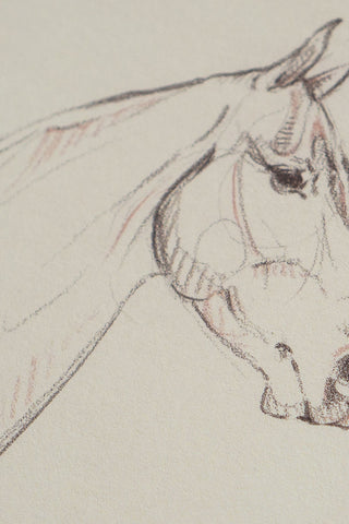 Photo of a print of a mixed media line drawing of a horse by equine artist Danielle Demers