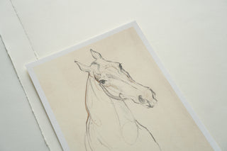 Photo of a print of a mixed media line drawing of a horse by equine artist Danielle Demers