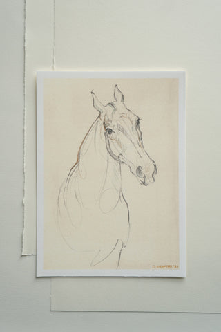 Photo of a print of a mixed media line drawing of a horse by equine artist Danielle Demers