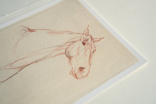 Photo of a print of a mixed media line drawing of a horse by equine artist Danielle Demers