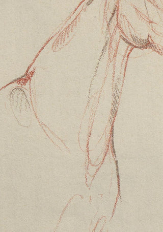 Photo of a print of a mixed media line drawing of a horse by equine artist Danielle Demers