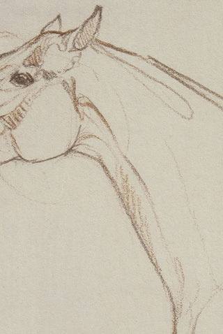 Photo of a print of a mixed media line drawing of a horse by equine artist Danielle Demers