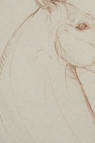 Photo of a print of a mixed media line drawing of a horse by equine artist Danielle Demers