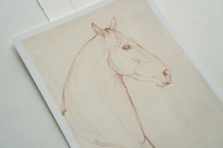 Photo of a print of a mixed media line drawing of a horse by equine artist Danielle Demers