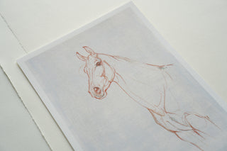 Photo of a print of a mixed media line drawing of a horse by equine artist Danielle Demers