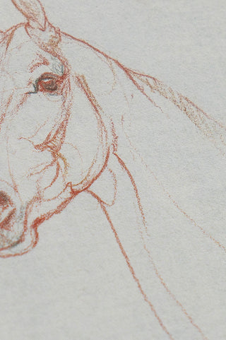 Photo of a print of a mixed media line drawing of a horse by equine artist Danielle Demers