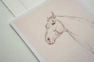 Photo of a print of a mixed media line drawing of a horse by equine artist Danielle Demers
