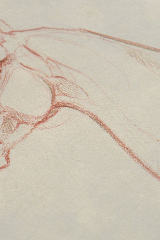 Photo of a print of a mixed media line drawing of a horse by equine artist Danielle Demers