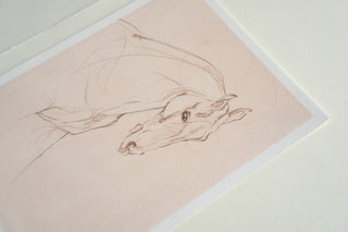 Photo of a print of a mixed media line drawing of a horse by equine artist Danielle Demers