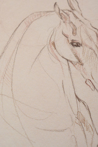 Photo of a print of a mixed media line drawing of a horse by equine artist Danielle Demers