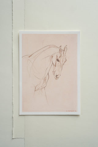 Photo of a print of a mixed media line drawing of a horse by equine artist Danielle Demers