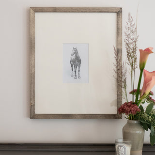Photo of a framed original graphite drawing of a horse entitled The Colt by equine artist Danielle Demers