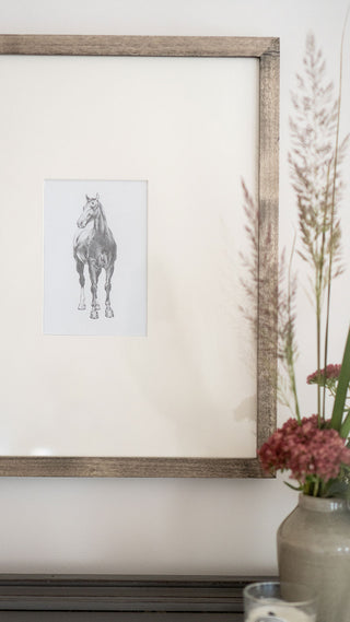 Photo of a framed original graphite drawing of a horse entitled The Colt by equine artist Danielle Demers