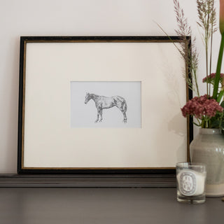 Photo of a framed original graphite drawing of a horse entitled The Thoroughbred Mare by equine artist Danielle Demers