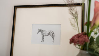 Photo of a framed original graphite drawing of a horse entitled The Thoroughbred Mare by equine artist Danielle Demers