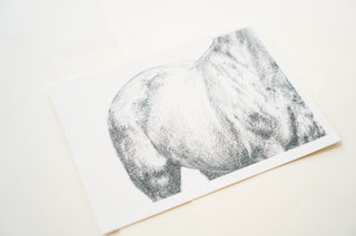 Photo of a print of a detailed graphite drawing of a horse by equine artist Danielle Demers
