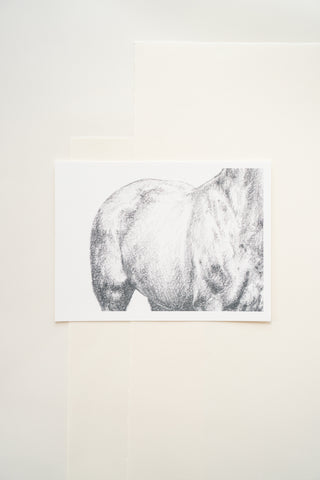 Photo of a print of a detailed graphite drawing of a horse by equine artist Danielle Demers