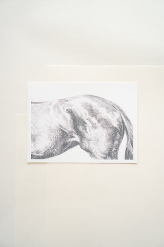 Photo of a print of a detailed graphite drawing of a horse by equine artist Danielle Demers