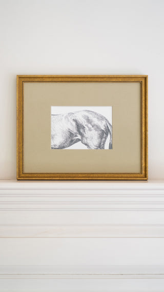 Photo of a framed print of a graphite drawing of a horse by equine artist Danielle Demers
