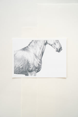 Photo of a print of a detailed graphite drawing of a horse by equine artist Danielle Demers