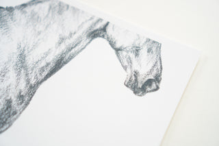 Photo of a print of a detailed graphite drawing of a horse by equine artist Danielle Demers