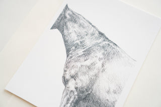 Photo of a print of a detailed graphite drawing of a horse by equine artist Danielle Demers