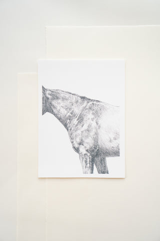 Photo of a print of a detailed graphite drawing of a horse by equine artist Danielle Demers