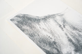 Photo of a print of a detailed graphite drawing of a horse by equine artist Danielle Demers