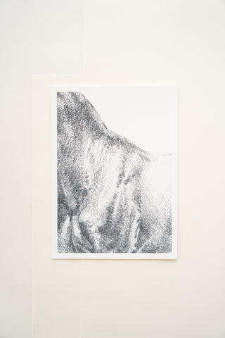 Photo of a print of a detailed graphite drawing of a horse by equine artist Danielle Demers