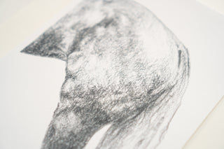 Photo of a print of a detailed graphite drawing of a horse by equine artist Danielle Demers