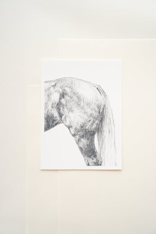 Photo of a print of a detailed graphite drawing of a horse by equine artist Danielle Demers