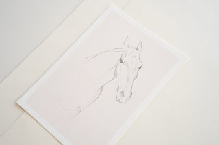 Photo of a delicate graphite line drawing of a horse by equine artist Danielle Demers