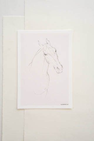 Photo of a delicate graphite line drawing of a horse by equine artist Danielle Demers