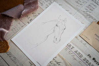 Photo of a delicate graphite line drawing of a horse by equine artist Danielle Demers