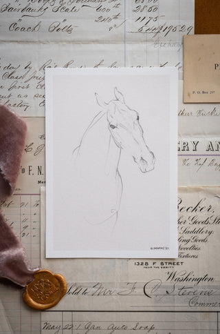 Photo of a delicate graphite line drawing of a horse by equine artist Danielle Demers