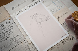 Photo of a delicate graphite line drawing of a horse by equine artist Danielle Demers