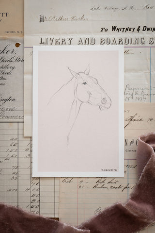 Photo of a delicate graphite line drawing of a horse by equine artist Danielle Demers