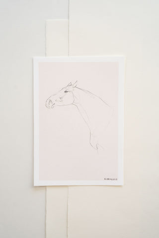 Photo of a delicate graphite line drawing of a horse by equine artist Danielle Demers