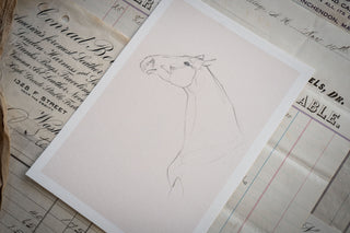 Photo of a delicate graphite line drawing of a horse by equine artist Danielle Demers