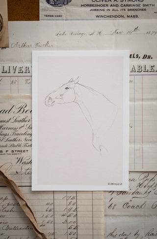 Photo of a delicate graphite line drawing of a horse by equine artist Danielle Demers