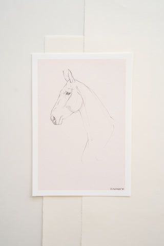 Photo of a delicate graphite line drawing of a horse by equine artist Danielle Demers