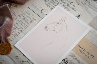 Photo of a delicate graphite line drawing of a horse by equine artist Danielle Demers