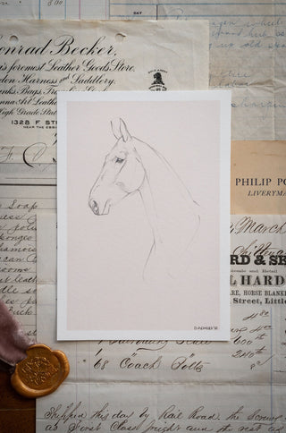 Photo of a delicate graphite line drawing of a horse by equine artist Danielle Demers